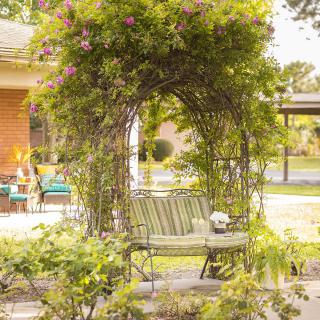 A peaceful garden scene with a bench under a lush, vine-covered arbor.