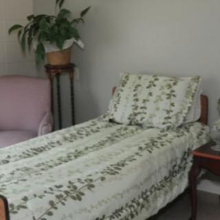 A cozy bedroom with a single bed, floral bedding, a potted plant on a pedestal, and a comfortable chair.