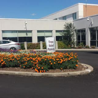A well-maintained flower bed featuring bright orange flowers in front of a modern building.