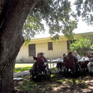 A group of seniors enjoying a sunny day outdoors, engaged in conversation around a table under the shade of a tree.