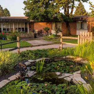 A serene garden scene featuring a pond surrounded by lush greenery and a cozy building.