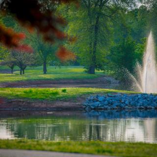 A tranquil park scene with a lake and fountain surrounded by lush greenery.