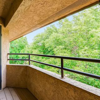 A balcony with a scenic view of lush green trees on a sunny day.