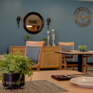 A modern dining room with stylish furniture and decorative elements, featuring a calming blue wall and vibrant plants.