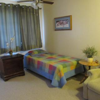 A cozy bedroom with a single bed covered in a colorful quilt, next to a dresser and houseplant.