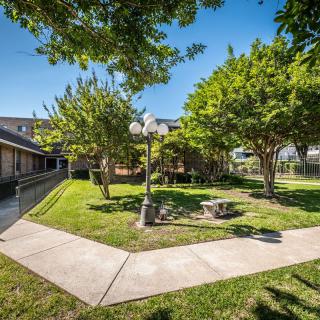 A peaceful courtyard with trees, benches, and pathways on a sunny day.