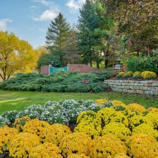 A beautifully landscaped garden with vibrant yellow and white flowers, lush greenery, and tall trees under a clear blue sky.