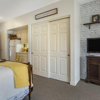A cozy bedroom with a TV, closet doors, and soft decor.