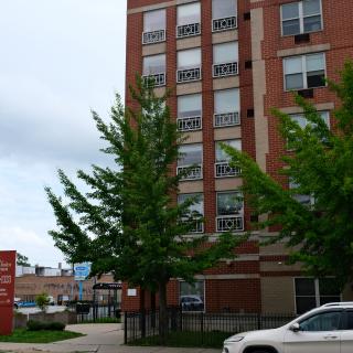 A city street with a tall apartment building, trees, and a parked car.