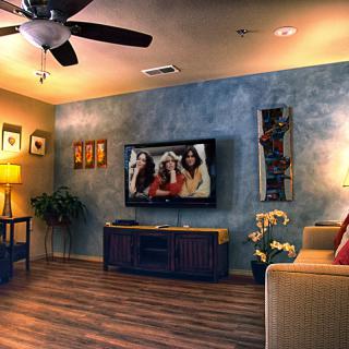 A cozy living room with modern decor, featuring a television, wooden flooring, and indoor plants.