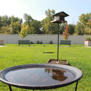 A tranquil garden scene with a birdhouse and birdbath set amidst lush green grass.