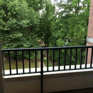 View from a balcony overlooking lush green trees.