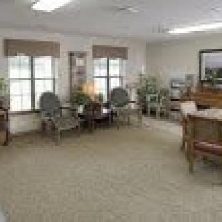 A cozy waiting room with several chairs, windows, and a carpeted floor.