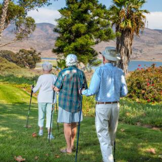 A group of seniors hiking together in a scenic outdoor setting.