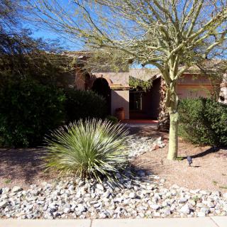 A desert landscape with a house surrounded by various plants and a clear blue sky.