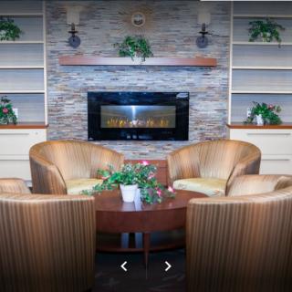 A cozy living room with a modern fireplace, surrounded by armchairs and decorated with plants.