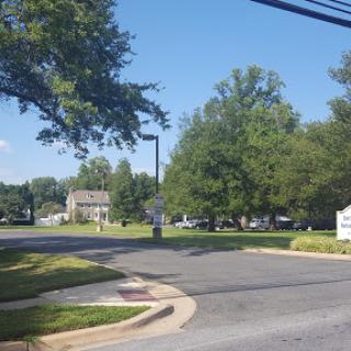 A sunny day showcasing a peaceful street lined with trees and green grass.