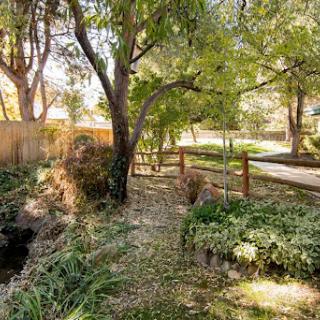 A serene pathway lined with trees and greenery, leading to a peaceful stream.