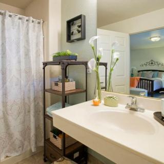 A modern bathroom with a sink, mirror, and decorative elements.