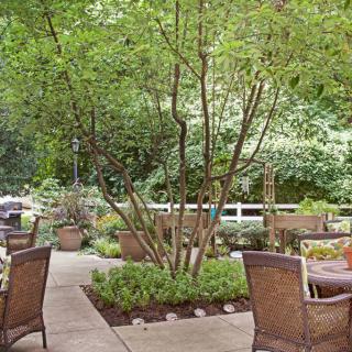 A tranquil outdoor patio with seating amidst lush greenery.