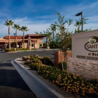 Entrance to a building with palm trees and landscaping on a sunny day.