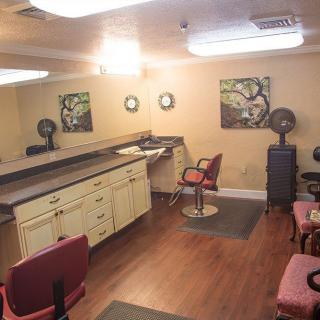 A cozy and well-lit salon interior with chairs, mirrors, and stylish artwork on the walls.