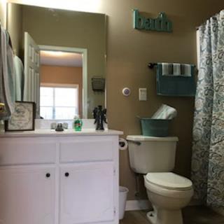 A cozy bathroom featuring a sink with a mirror, toilet, and a patterned shower curtain.