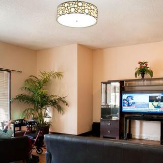 A cozy living room with a television and modern furnishings, featuring a sofa, coffee table, indoor plant, and entertainment center.