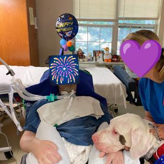 A heartwarming moment as a patient receives love and support from a caregiver and their furry friend, brightening the hospital environment with balloons.