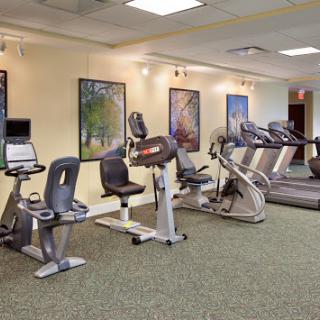 A well-equipped gym featuring various cardio machines for a complete workout experience.