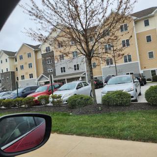 A view of a hotel with several cars parked in front and a tree in the foreground.