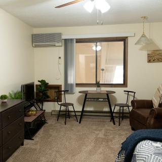 A cozy apartment living room with modern furniture and a window view.