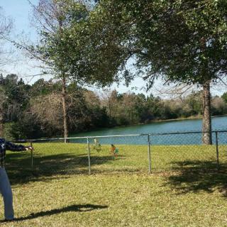 A person standing in a grassy area near a lake, surrounded by trees and a fence.