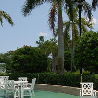 An outdoor patio area with white chairs and tables surrounded by lush greenery and palm trees.
