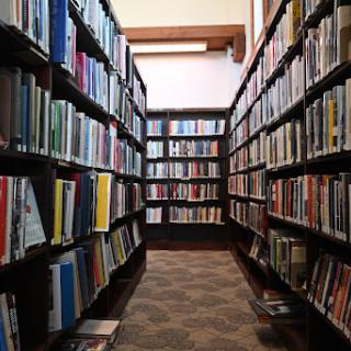 A view of a tranquil library aisle filled with books.