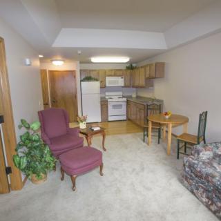 A cozy apartment living room with an adjoining kitchen area.