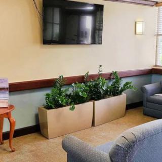 A cozy living room with a television, sofa, and decorative plants.
