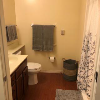 A clean and organized bathroom with towels, a toilet, a sink, and a shower curtain.