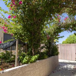 A sunny garden path lined with trees and flowering plants.