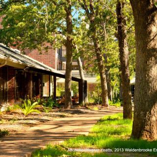A scenic view of a tree-lined pathway beside a rustic building, bathed in sunlight.