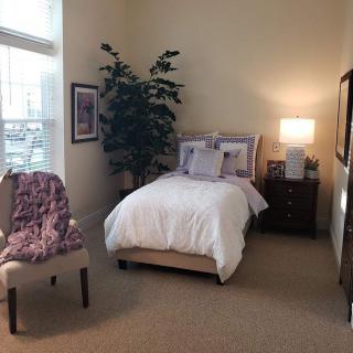 A cozy bedroom with a neatly made bed, a side table with a lamp, and a decorative plant.