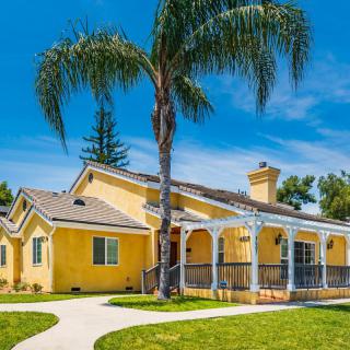 A sunny day view of a yellow suburban house with a palm tree and well-maintained lawn.