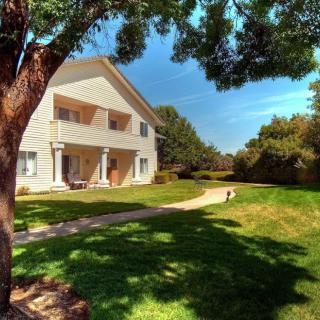 A sunny day view of a house with a large lawn and trees.