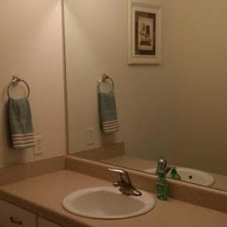 A bathroom featuring a sink, mirror, towel, and soap dispenser.