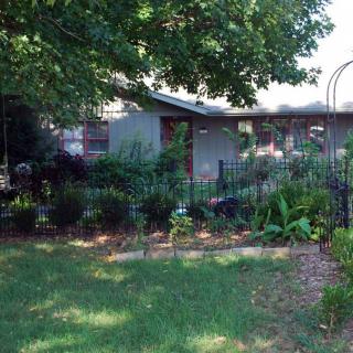 A lush garden with various plants and trees in front of a house, enclosed by a low fence.