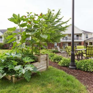 A beautifully landscaped garden with lush greenery and outdoor seating in a residential area.