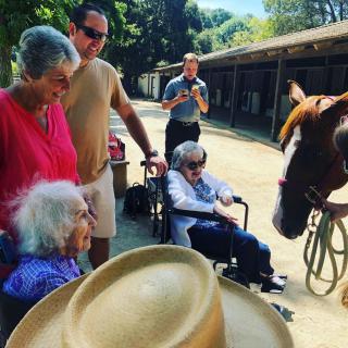 A group of elderly individuals enjoy a sunny day outdoors alongside a horse.