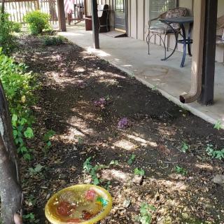A shaded garden patio with a birdbath and various plants.