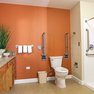 An accessible bathroom featuring a toilet with grab bars, a vanity with a sink and mirror, colorful walls, and decorative plants.