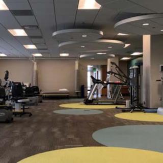 A spacious and modern gym featuring various exercise equipment and distinct circular mats.
